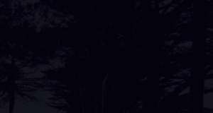 paula-borowska-1498-300x160 paula-borowska-1498-300x160 paula-borowska-1498.png